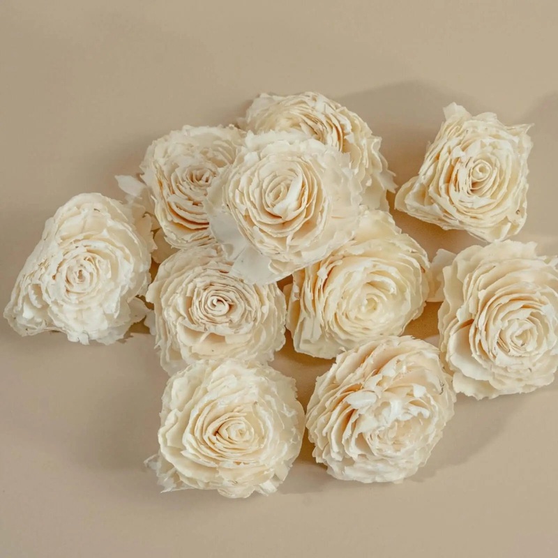 4 Dorothy (10 Pack)-RAW & CUSTOM