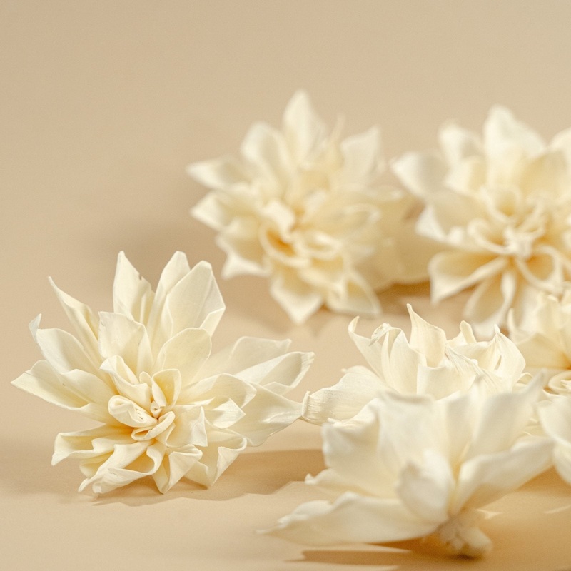 4 Labyrinth Dahlia (10 Pack)-RAW & CUSTOM