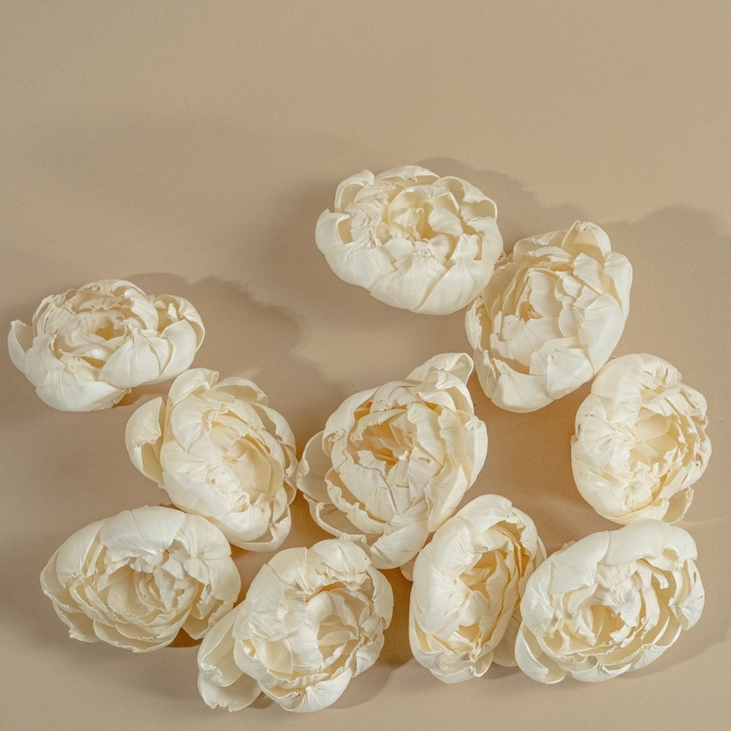 4 Peony (10 Pack)-RAW & CUSTOM