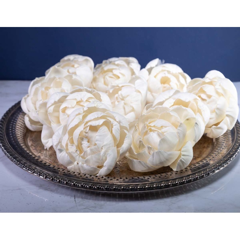 4 Sorbet Peony (10 Pack)-RAW & CUSTOM