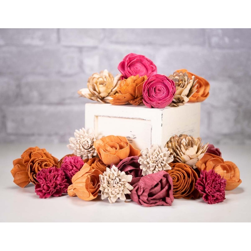 Cayenne Cove Assortment-25 Pack & 50 Pack & 100 Pack & 200 Pack