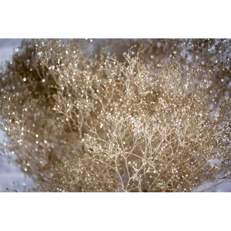 Choose Your Filler (HOOP)