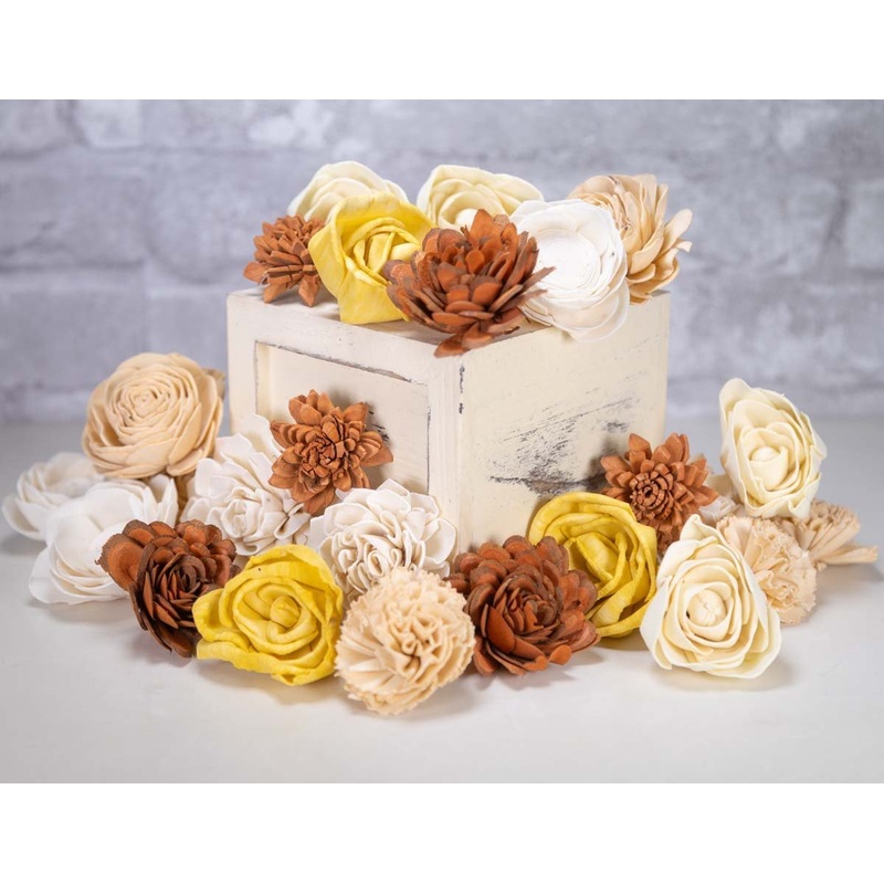 Hint Of Sun Assortment-25 Pack & 50 Pack & 100 Pack & 200 Pack