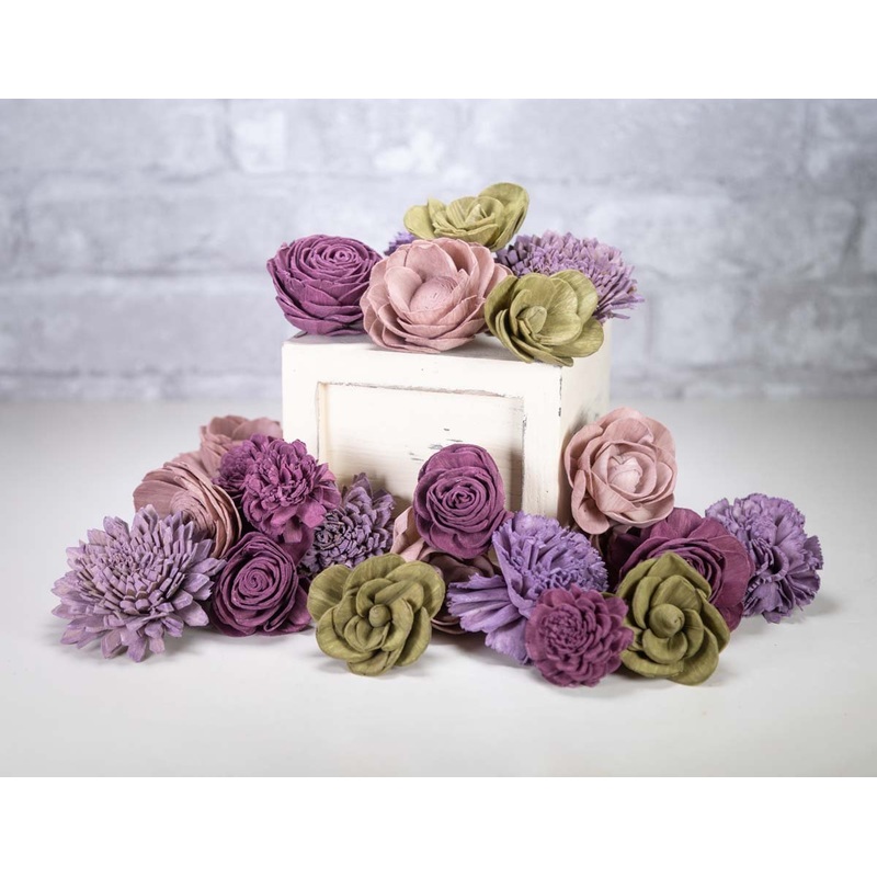 Jacaranda Tree Assortment-25 Pack & 50 Pack & 100 Pack & 200 Pack