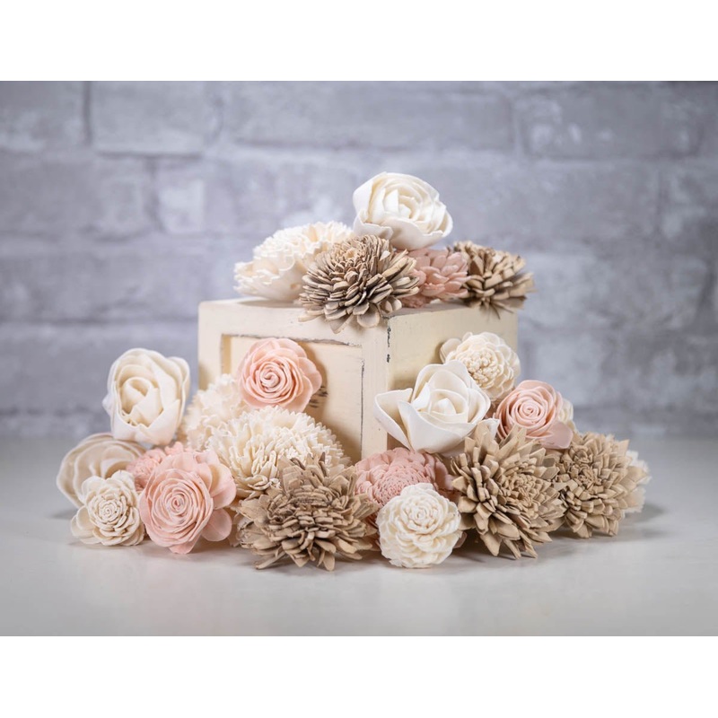 Light Stardust Assortment-25 Pack & 50 Pack & 100 Pack & 200 Pack