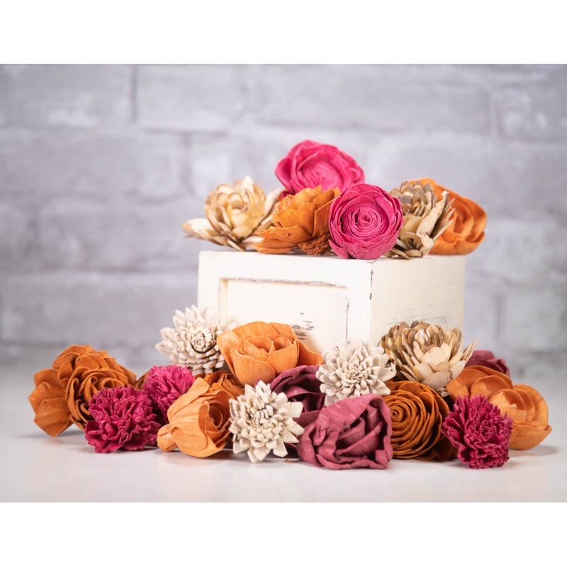 Madison Assortment-25 Pack & 50 Pack & 100 Pack & 200 Pack