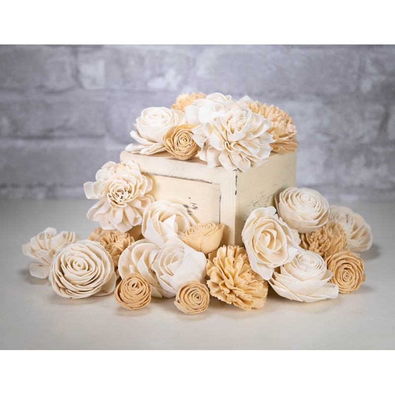 Neige Assortment-25 Pack & 50 Pack & 100 Pack & 200 Pack