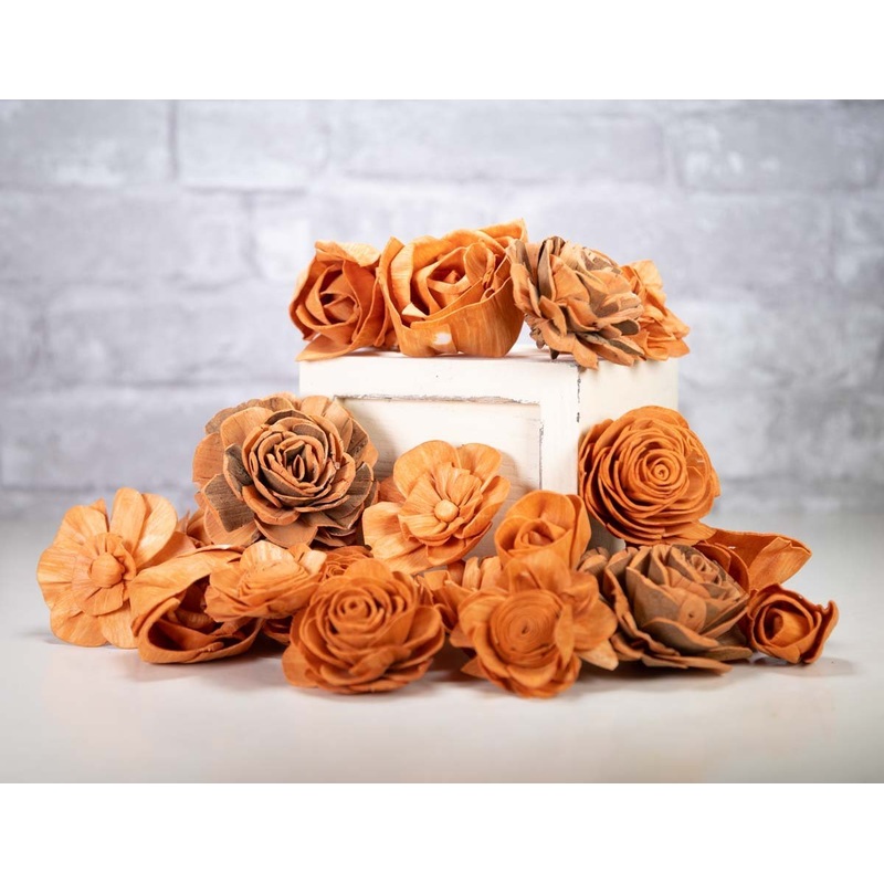 Persimmon Assortment-25 Pack & 50 Pack & 100 Pack & 200 Pack