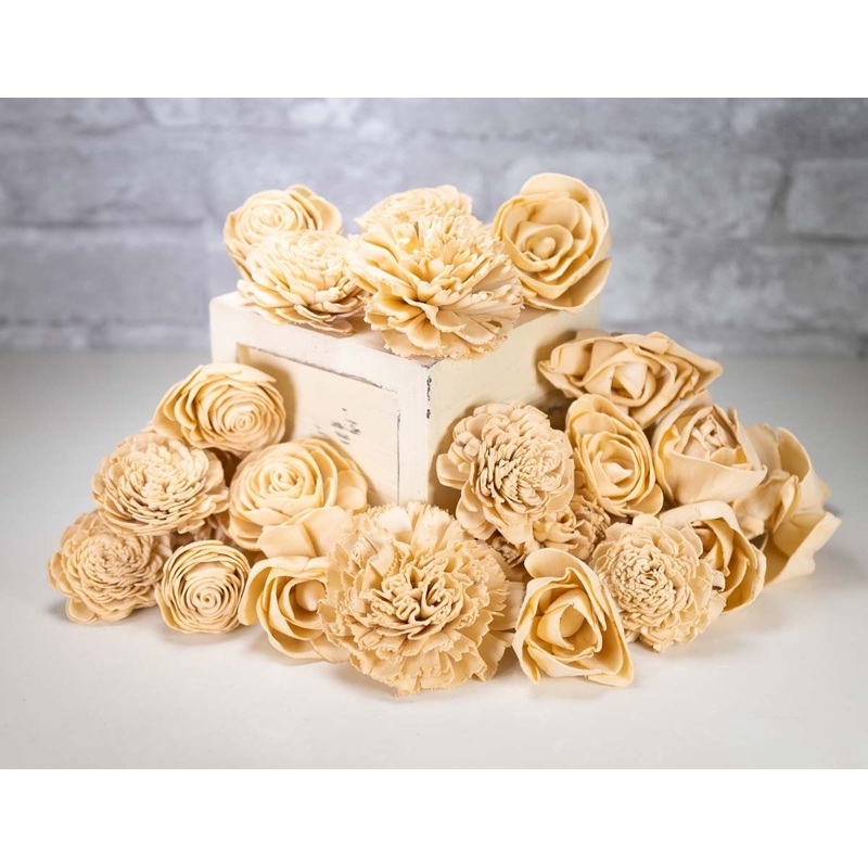 Piano Key Assortment-25 Pack & 50 Pack & 100 Pack & 200 Pack