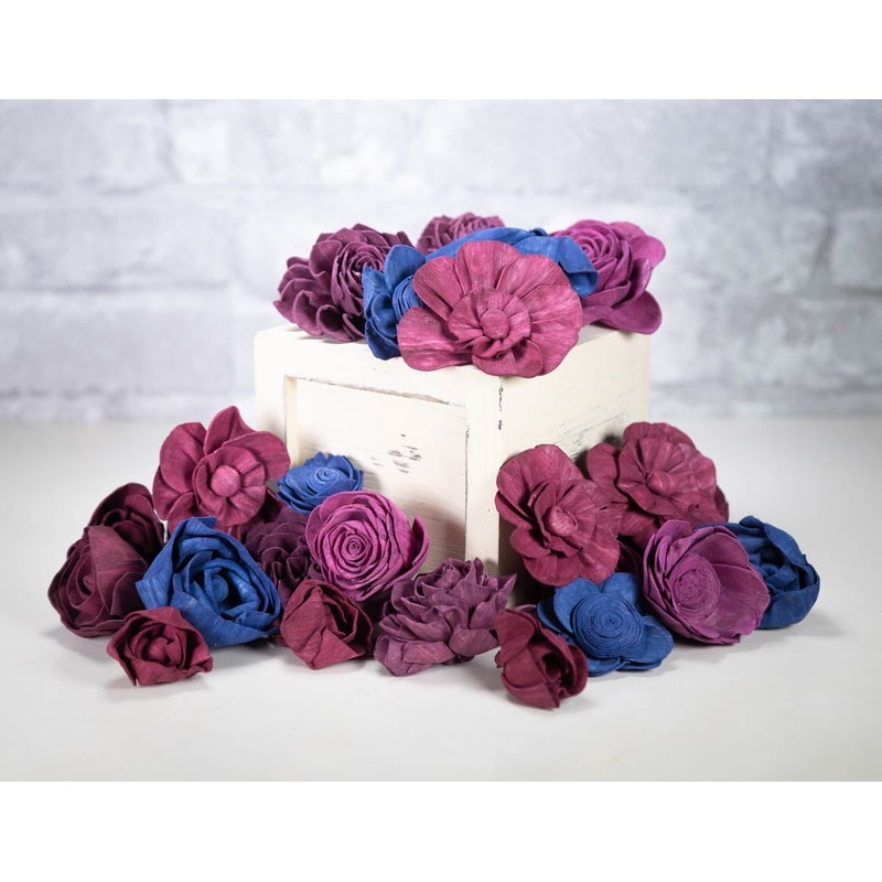 Plum Paradise Assortment-25 Pack & 50 Pack & 100 Pack & 200 Pack