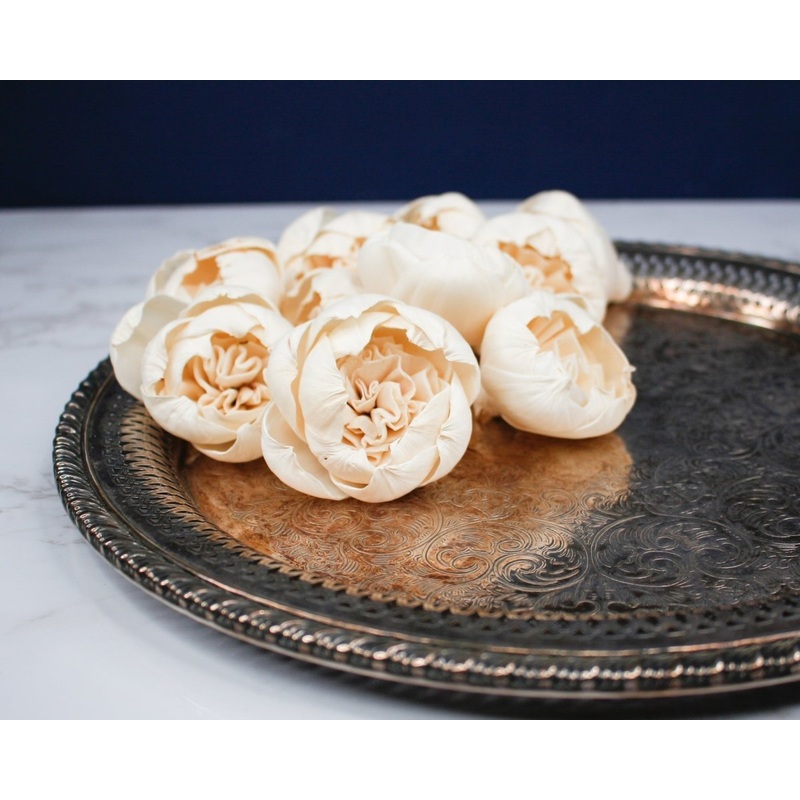 2 Lady Banks Rose Buds (200 Pack)