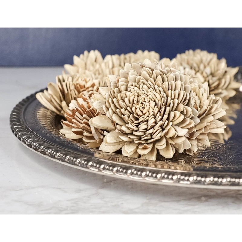 3 Bark Zinnia (200 Pack)