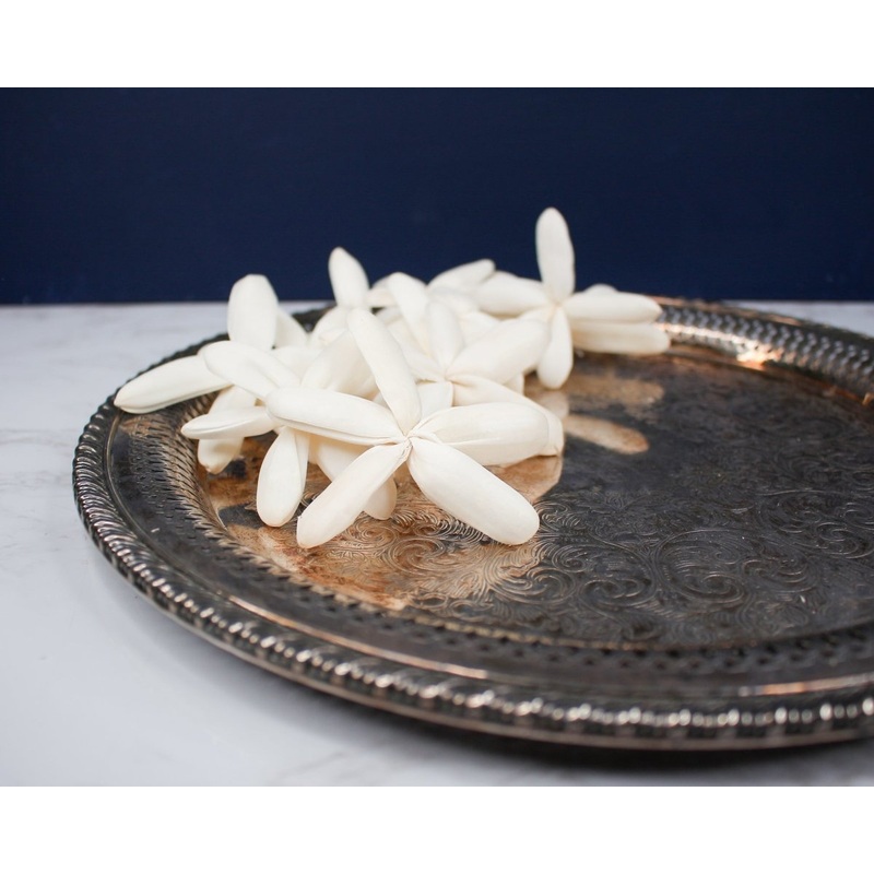 3 Dragonfly (200 Pack)