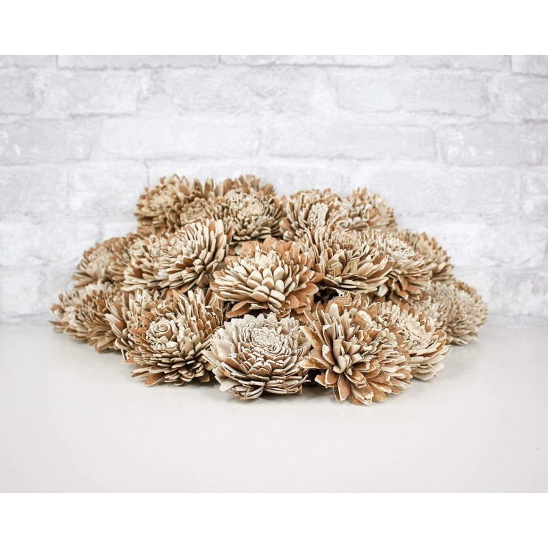 3 Bark Zinnia (500 Flower Box)