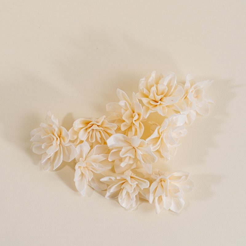 1.5 Alice (10 pack)-RAW & CUSTOM