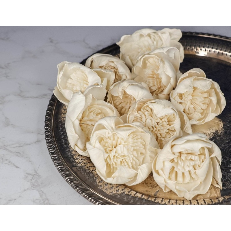 1.5 Fresia (10 Pack)-RAW & CUSTOM