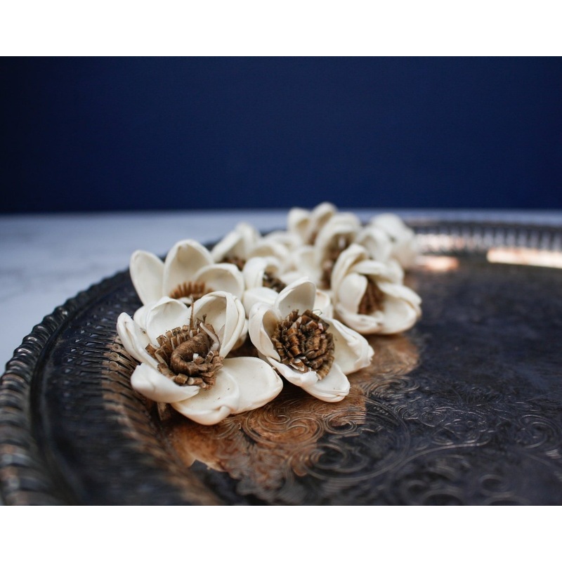 1.5 Harriet (10 Pack)-RAW & CUSTOM