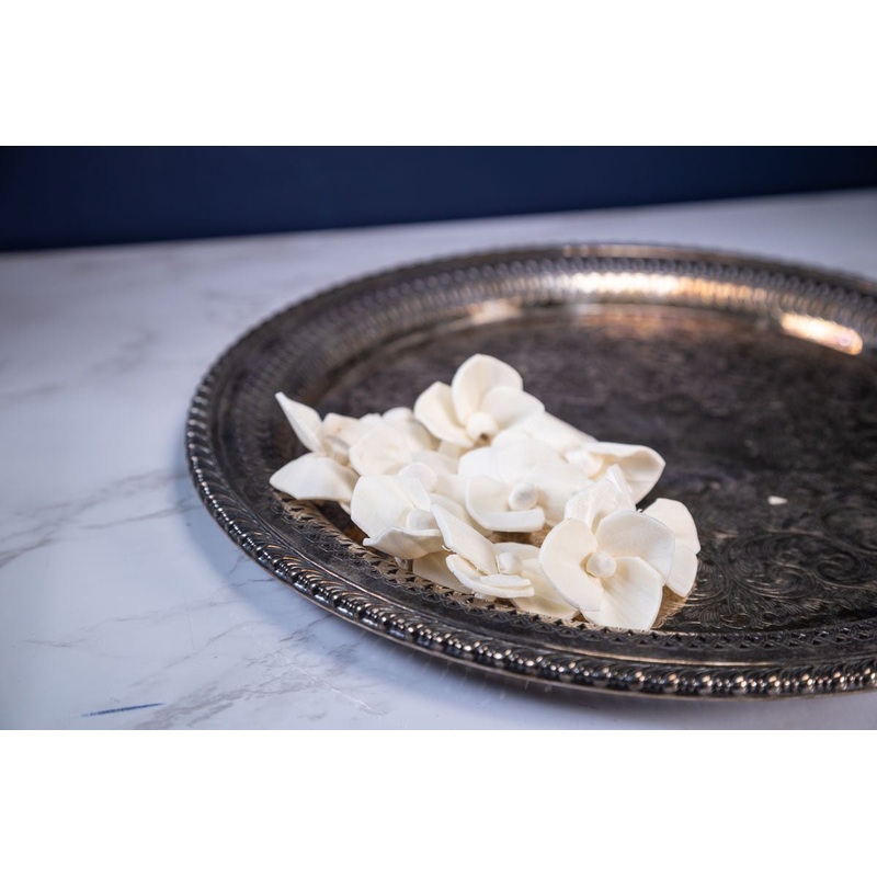 1.5 Mophead Hydrangea (10 Pack)