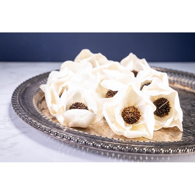 2 Anemone Coronaria (10 Pack)-RAW & CUSTOM