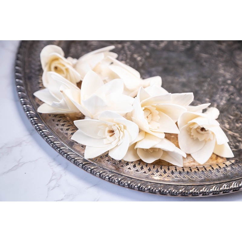 2 Freesia Plantae (10 Pack)-RAW & CUSTOM