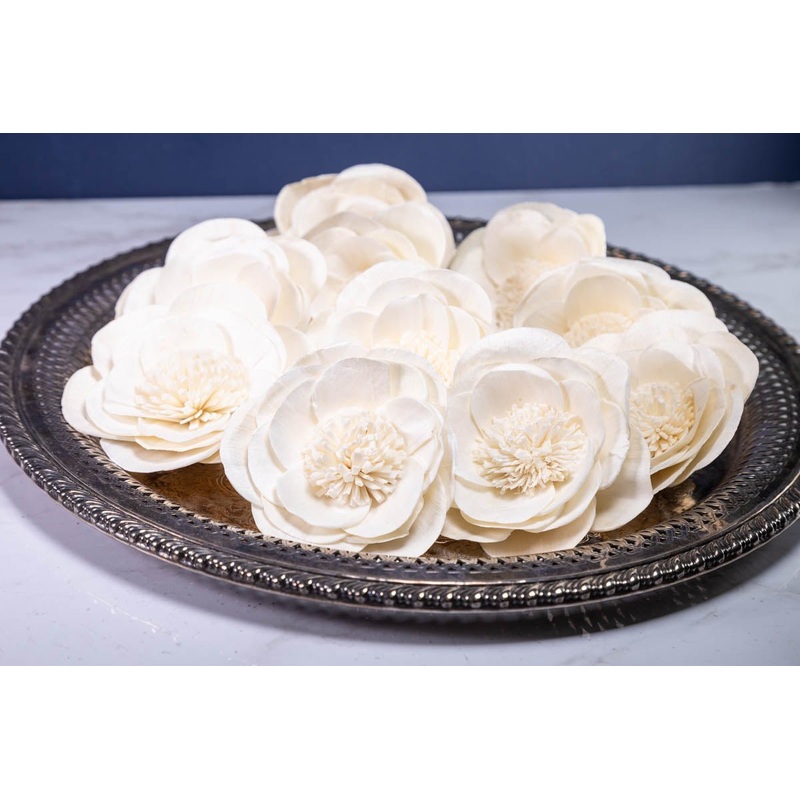 3 Buckeye Belle Peony (10 Pack)