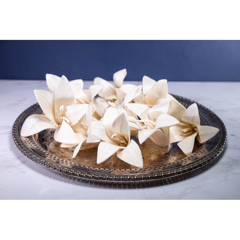 3 Lily (10 Pack)-RAW & CUSTOM