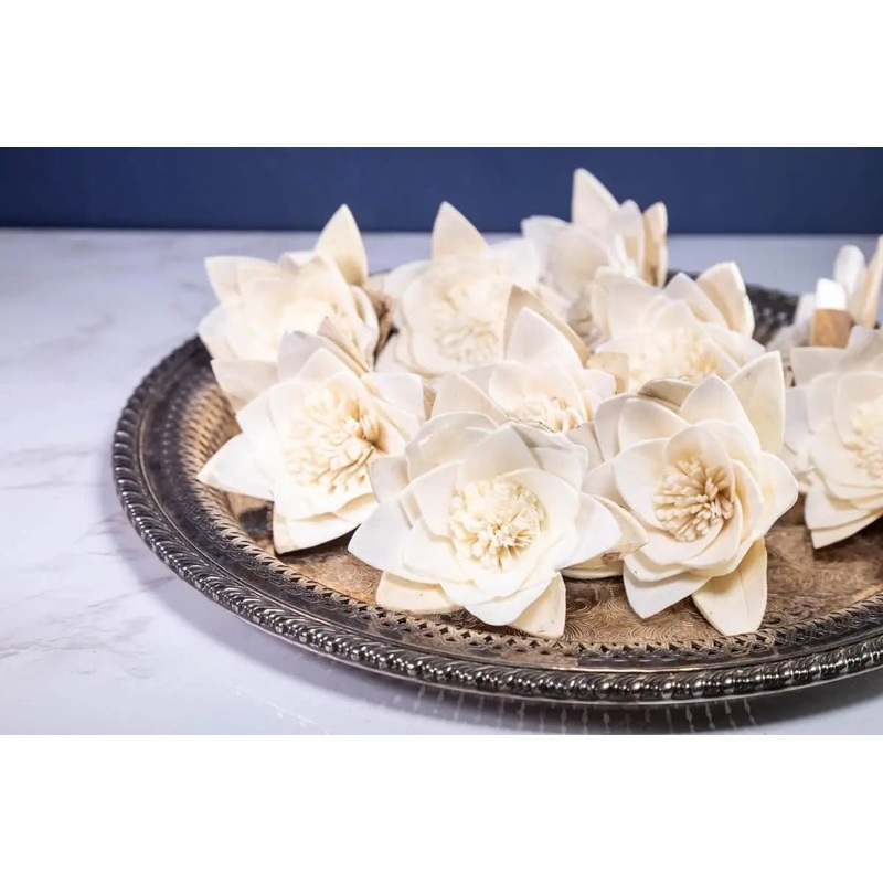 3 Nymphaeaceae (10 Pack)-RAW & CUSTOM