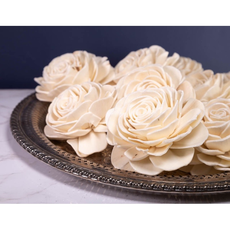 4 Aeonium Succulent (10 Pack)-RAW & CUSTOM