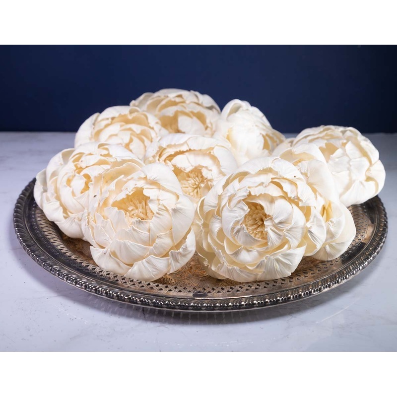 4 Fresia (10 Pack)-RAW & CUSTOM