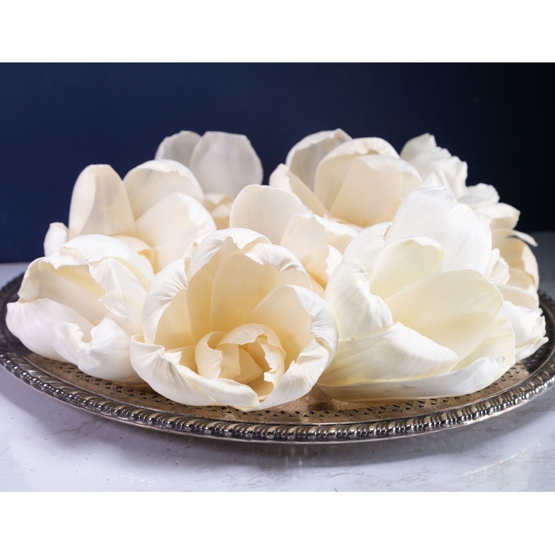 4 Precious Tulip (10 Pack)-RAW & CUSTOM