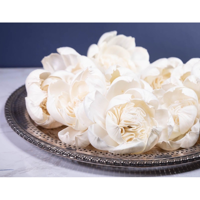 4 Rosie (10 Pack)-RAW & CUSTOM