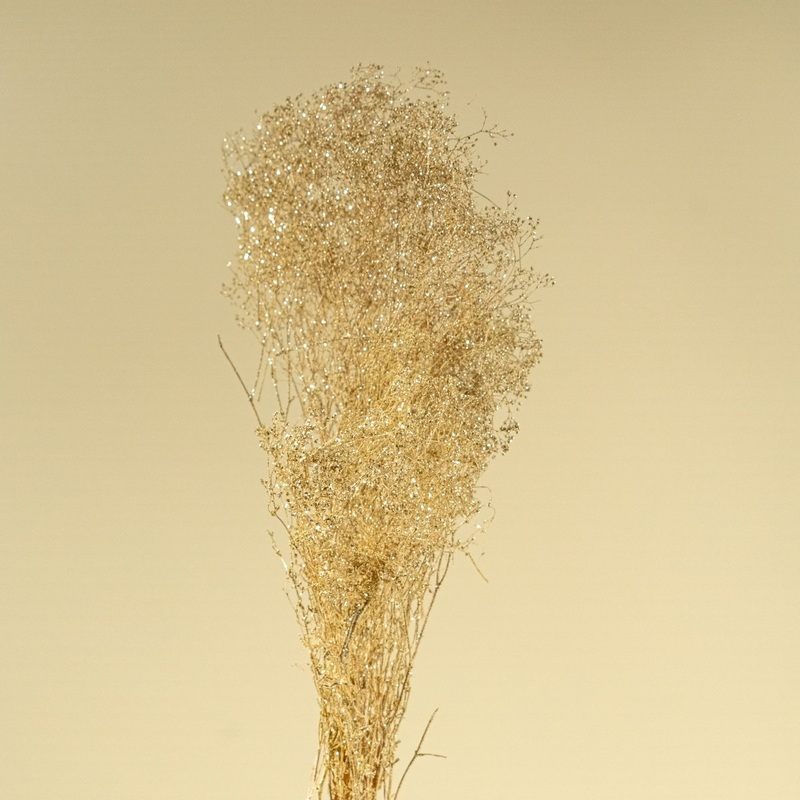 Baby’s Breath – Champagne Glitter