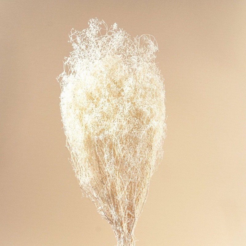 Baby’s Breath – White Glitter