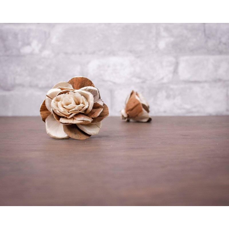 1.5 Franklin (10 Pack)-RAW & CUSTOM