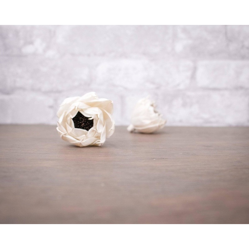 1.5 Ramona (10 Pack)-RAW & CUSTOM