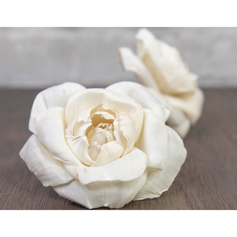 1.5 Ravishing Rose (10 Pack)-RAW & CUSTOM