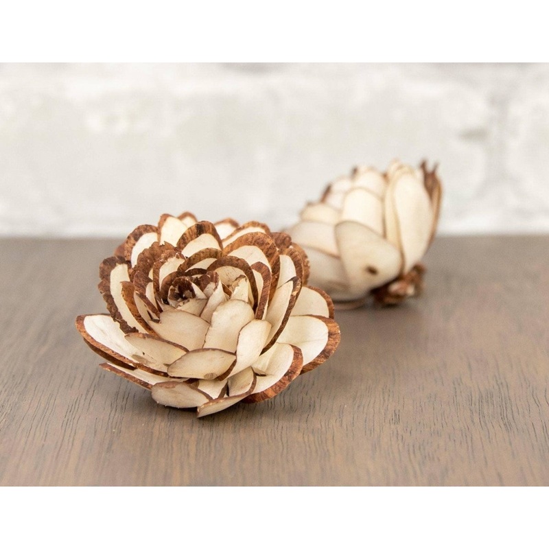 2 Almond w/ Mahogany Tips (10 Pack)