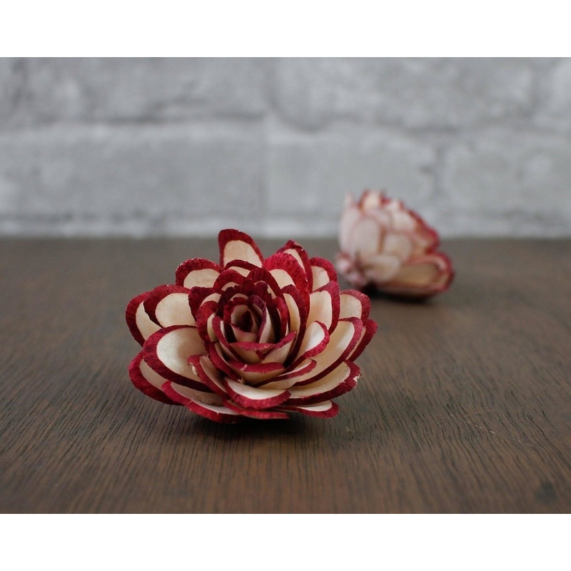 2 Almond w/ Maroon Tips (10 Pack)