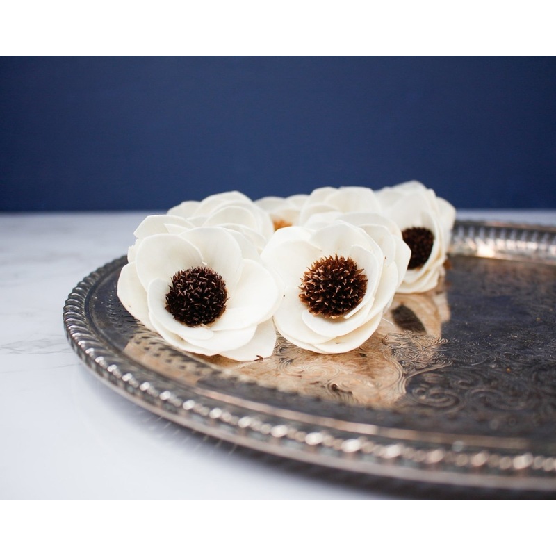 2 Anemone (10 pack)-RAW & CUSTOM