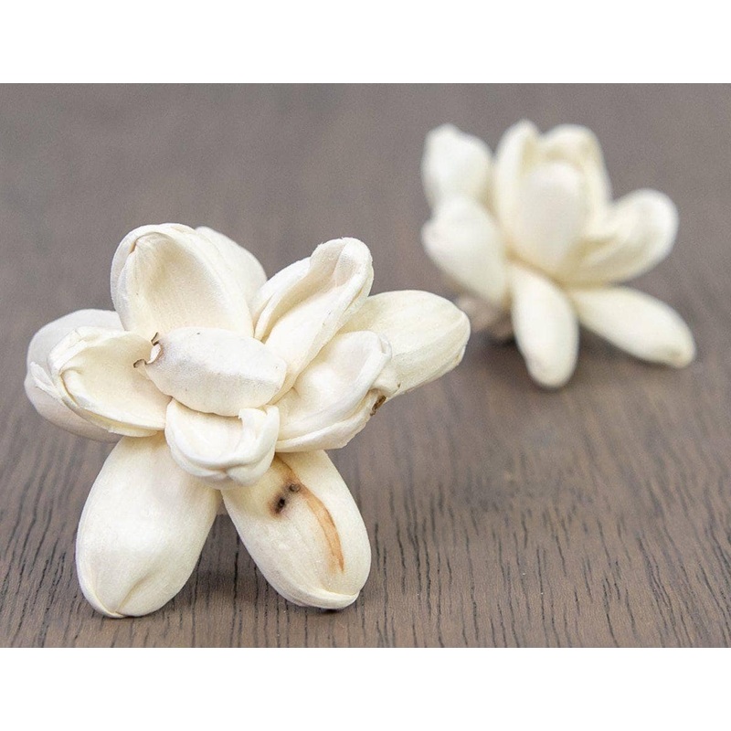 2 Bitty (10 Pack)-RAW & CUSTOM