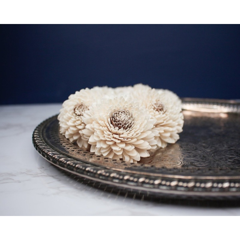 2 Coco Zinnia (10 pack)-RAW & CUSTOM