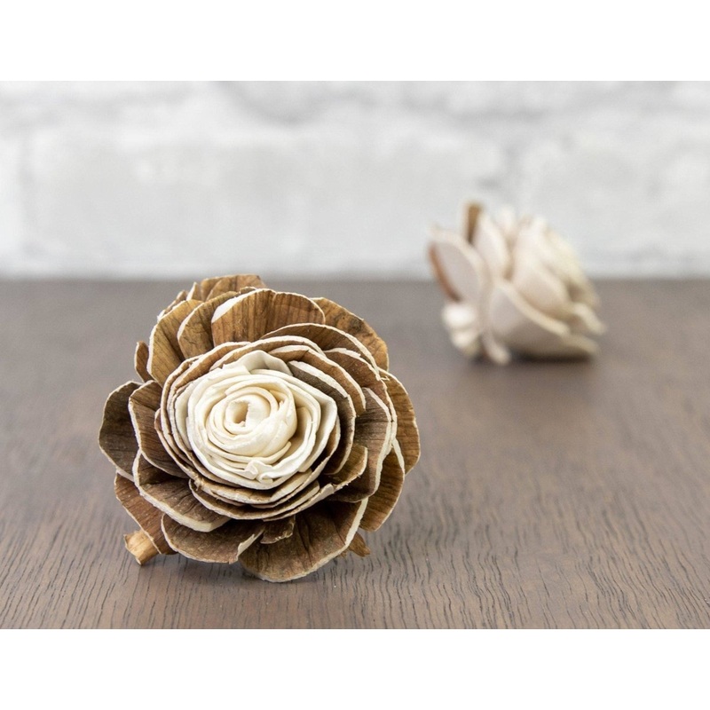 2 Franklin (10 Pack)-RAW & CUSTOM