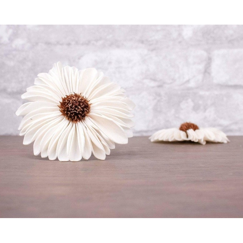 2 Gerbera Daisy (10 Pack)-RAW & CUSTOM