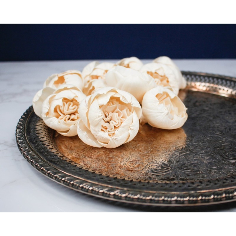 2 Lady Banks Rose Buds(10 Pack)