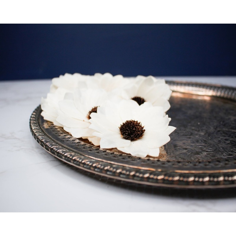 2 Thistle Sunflower (10 pack)-RAW & CUSTOM