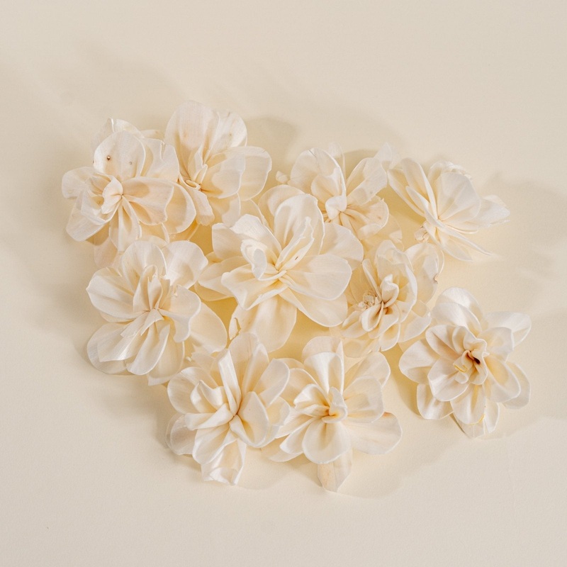 3 Alice (10 Pack)-RAW & CUSTOM