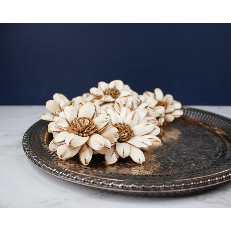 3 Cape Daisy (10 Pack)-RAW & CUSTOM