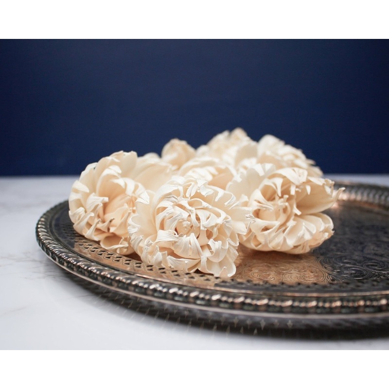 3 Carnival (10 Pack)-RAW & CUSTOM