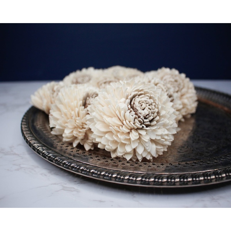 3 Coco Zinnia (10 pack)-RAW & CUSTOM