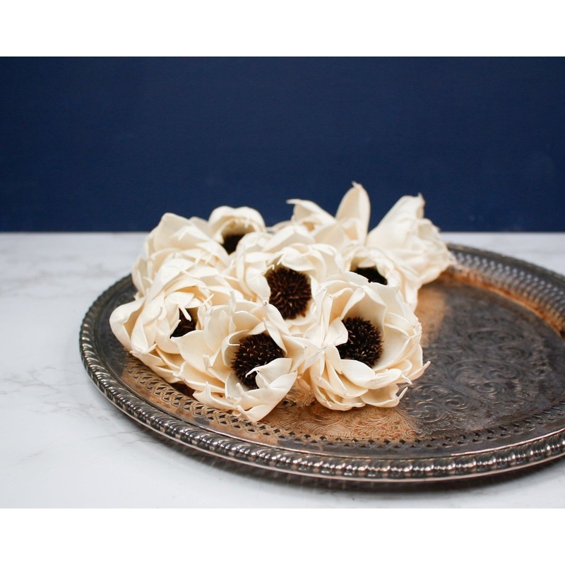 3 Ramona (10 Pack)-RAW & CUSTOM